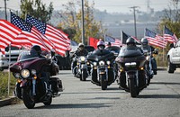 Veterans Day Ceremony at Veterans Memorial Hill