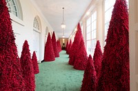 White House Christmas 2018The East Colonnade of the White House is decorated for the holiday season Monday, Nov. 26, 2018. (Official White House Photo by Andrea Hanks). Original public domain image from Flickr