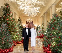 White House Christmas 2018