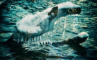 Aesthetic icicle photography on photo film. Free public domain CC0 image.