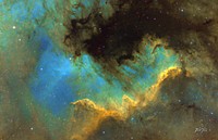 This image includes a portion of the North America Nebula known as the Cygnus Wall. The W-shaped ridge of gas and dust is a star forming region about 20 light years long. The nebula is located about 1600 light years from Earth in the constellation Cygnus. For this image, several hours of exposure were taken from the relatively dark skies over Rocky Mountain National Park.