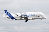 Beluga XL F-WBXL - Airbus A330-743L, LFBO Airport, 81/10/2019. 
