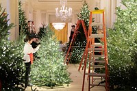 Volunteers Decorate the White House for Christmas 2019Volunteers prepare decorations for the 2019 Christmas season at the White House. (Official White House Photo by Andrea Hanks). Original public domain image from Flickr