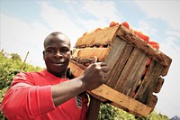 A young farmer in Mbarali carrying a tomato crate to a nearby truck for transporting.Through Feed the Future Mboga na Matunda, USAID delivers agricultural practices, technologies, and nutrition education to individuals across Tanzania.The purpose of Mboga na Matunda is to make the horticulture subsector more competitive and inclusive while improving the nutritional status of Tanzanians. Credit: USAID. Original public domain image from Flickr