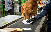 Police dog sniffing packages. Original public domain image from Flickr