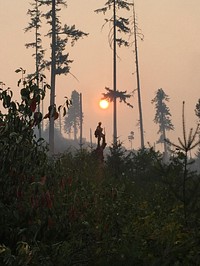 Profile of Firefighter on South Obenchain Fire,9-28-2020. Original public domain image from Flickr