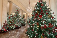 2020 White House Christmas. Original public domain image from Flickr