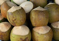 Pile of fresh coconuts. Free public domain CC0 image. 