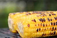 Yellow corn, agricultural produce. Free public domain CC0 image