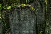 Cemetery photo. Free public domain CC0 image.