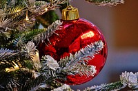 Close up on red Christmas tree ornament. Free public domain CC0 photo.