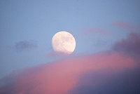 Waning moon in daytime sky. Free public domain CC0 photo.