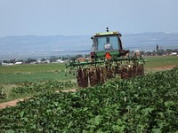 Tractor in a farm. Free public domain CC0 photo