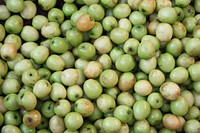 Pile of green apples. Free public domain CC0 photo.