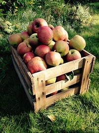 Pile of red apples in wooden box. Free public domain CC0 photo.