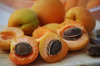 apricots. Free public domain CC0 image. 
