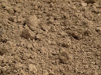Farm land soil close up. Free public domain CC0 image.