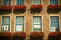 Brick building windows with flower bushes. Free public domain CC0 image.