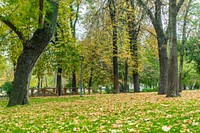 Park in fall season. Free public domain CC0 photo.