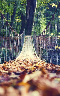 Aesthetic autumn leaf on bridge. Free public domain CC0 image.