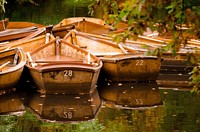 Rowboat in the water. Free public domain CC0 photo.