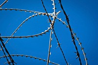 Barbed wire fence, security protection. Free public domain CC0 image