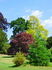 Bedford park, London. Free public domain CC0 photo.