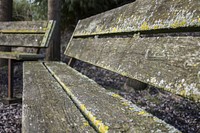 Old wooden bench. Free public domain CC0 photo
