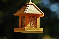 Cute bird house and feeder. Free public domain CC0 photo.