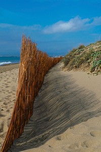 Beach in Marbella, Spain. Free public domain CC0 photo.