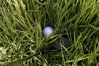 Closeup on golf ball in grass. Free public domain CC0 photo.