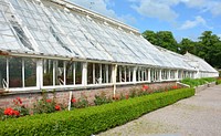 Greenhouse garden. Free public domain CC0 photo.