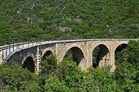 The Pelion Train, Greece. Free public domain CC0 image.