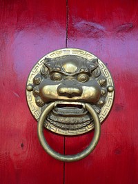 Lion door knocker in brass. Free public domain CC0 photo.