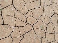 Drought ground. Free public domain CC0 image