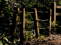 Fence in the woods. Free public domain CC0 image