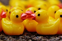 Cute yellow rubber ducks toy. Free public domain CC0 photo.