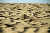 Sand dunes beach. Free public domain CC0 image.