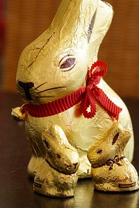 Gold bunny chocolate. Free public domain CC0 photo.