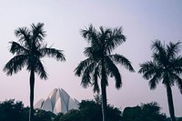 Free palm trees under grey sky with religious building public domain CC0 photo.