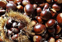 Free organic chestnut image, public domain CC0 photo.