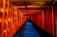 Free tunnel of Torii gates photo, public domain travel CC0 image.