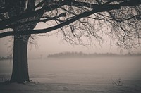 Empty open field covered in snow. Free public domain CC0 image.