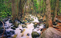 River, nature landscape. Free public domain CC0 image.