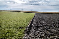 Agricultural vegetable garden. Free public domain CC0 photo.