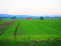 Vast agricultural land. Free public domain CC0 image. 