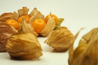 Closeup on physalis fruit. Free public domain CC0 image. 