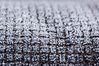 Closeup on ground covered in frost. Free public domain CC0 image.