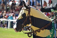 Horse & knight, animal photography. Free public domain CC0 image.