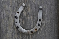 Horseshoe. Free public domain CC0 photo.